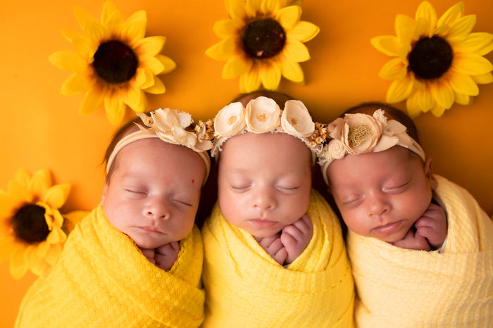 Newborn triplets session